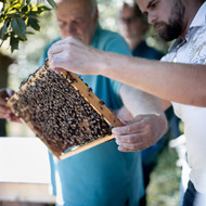 Imkerkurs "Mit den Bienen durchs Jahr"