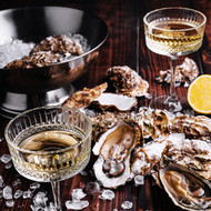 MARTINIS X OYSTERS