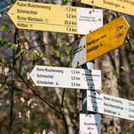 DING-WANDERUNGEN 2025 - WAS GIBT ES NEUES IM MARZELLUSGARTEN?