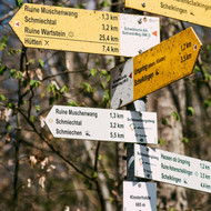 DING-WANDERUNGEN 2025 - HINAUF ZUM TRAUF