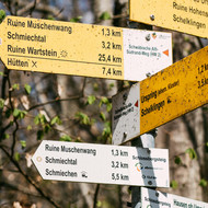 DING-WANDERUNGEN 2025 - VON HUMLANGEN ZUM HERRGÖTTLE VON BIHLAFINGEN