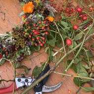 Herbstkränze binden mit Martina Eichmann