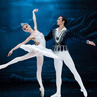 Schwanensee - Royal Classical Ballet