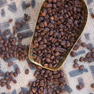 Werde zum Meister der Aromen – Kaffee Seminar mit Live-Röstung