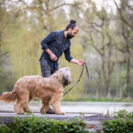 Sami El Ayachi - Der zugewandte Hund!