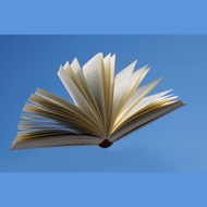 Lesung der Ulmer Autor*innen