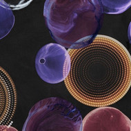 Baroque Bubbles – Jiří Georg Dokoupil
