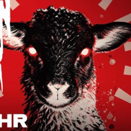Das Schweigen der Lämmer