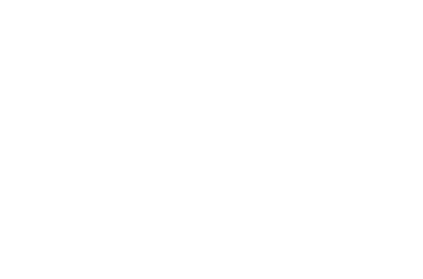 logo-fc2015