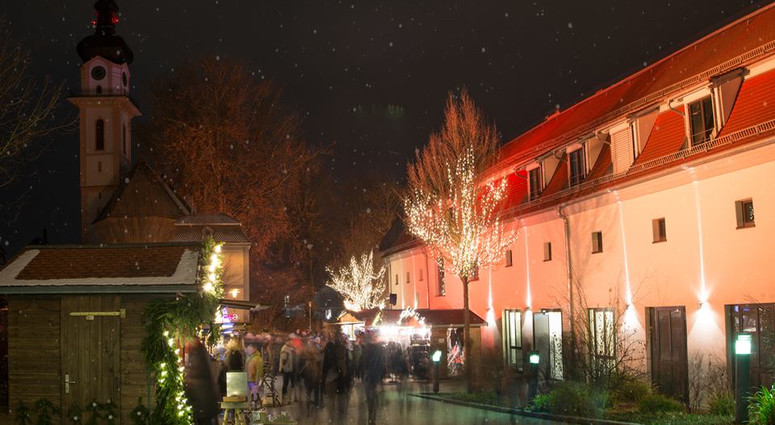 Single laupheim Single News - Ulm University