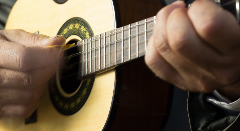 cropped-1740042666-adobestock_567005775