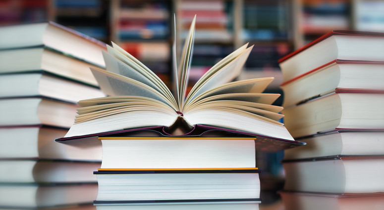cropped-1753703836-adobestock_144344997_kara