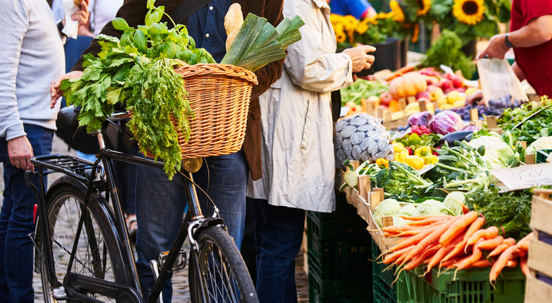 cropped-1753876884-adobestock_254865726