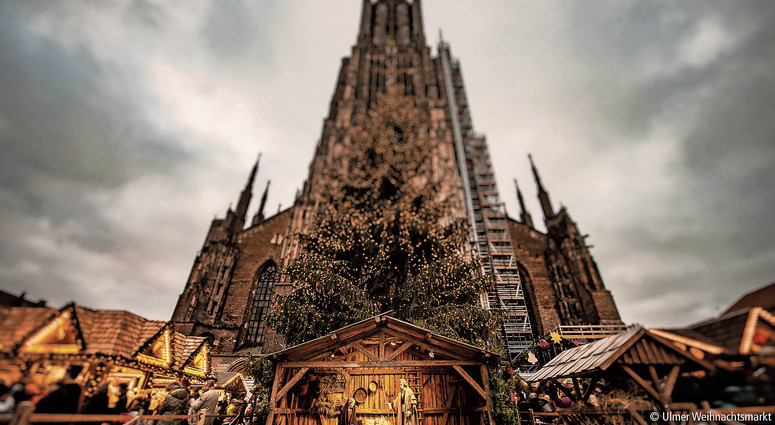 cropped-1763723031-uxm_impression-2