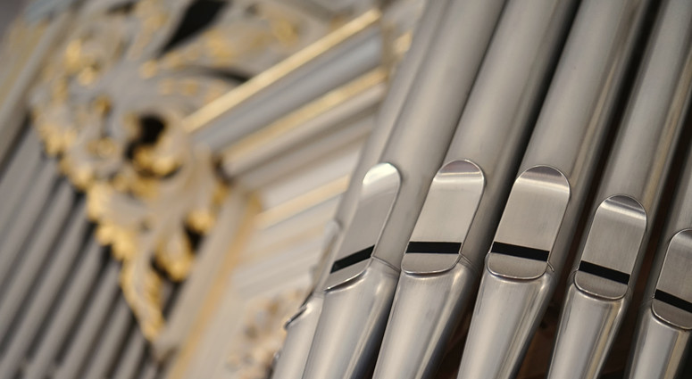 cropped-1776326548-adobestock_141144781_jms_foto