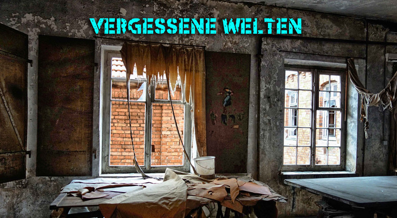 cropped-1777991513-vortragsfoto-vhs-web