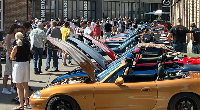 cropped-1780992806-whatsapp-image-2026-06-08-at-16.42.54