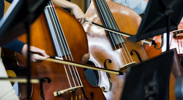 cropped-1786967419-adobestock_2000790659