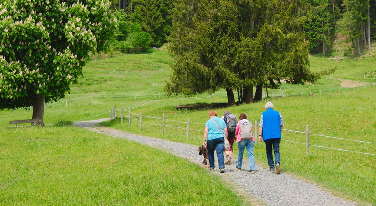 cropped-1790672284-krauterwanderung-mit-elfriede-lochbihler-6