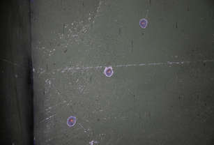 5e611021cda3c-img_9185