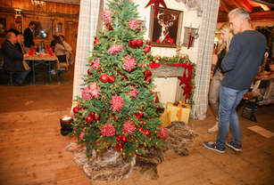 691fc8c342650-winterland-bruder-media-5