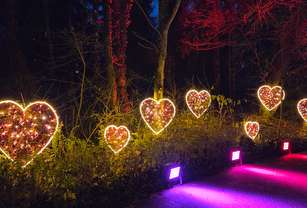 69289dbfd443b-20251127_170545