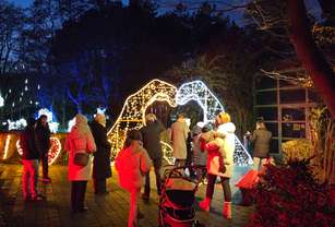 69289dbfd462a-20251127_170601