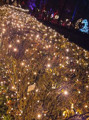 69289dbfd424f-20251127_170523