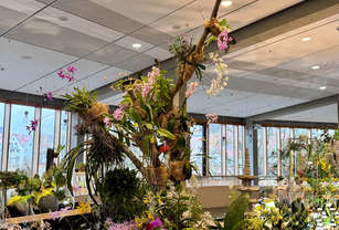 698e264a78d43-img_1985