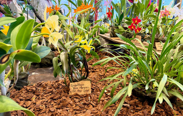 698e264a7895a-img_1976