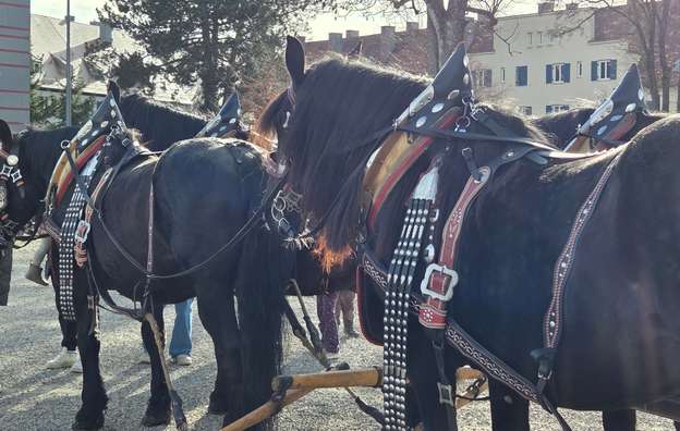 69b4feb2c1346-20260313_155128