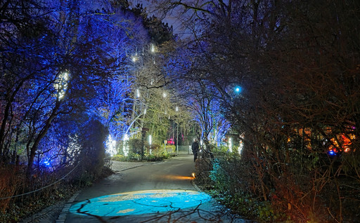 cropped-1764269407-20251127_171002