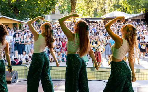 cropped-1786980141-afw_buhne-ddc-2