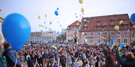 cropped-1647691179-dsc00326