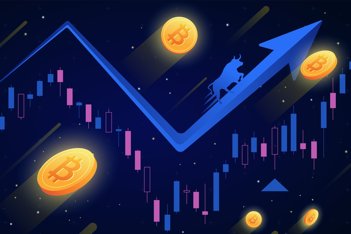 soll man in krypto investieren
