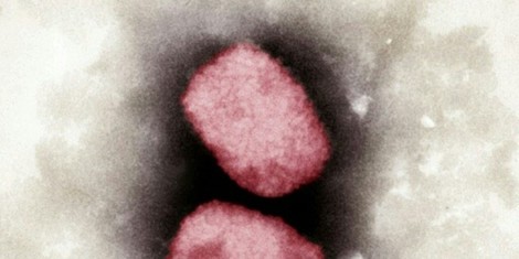 50439b6636d62b0f4fbe07eeac146a169ca59b2b