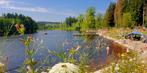 cropped-1660061617-sommer-am-waldsee-lindenberg--c-wolfgang-schneider