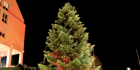 cropped-1669893308-bildschirmfoto-2022-12-01-um-12.14.34