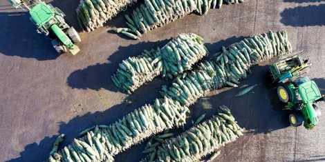 75008895da63f53565daec81152e0d17f25c96ab