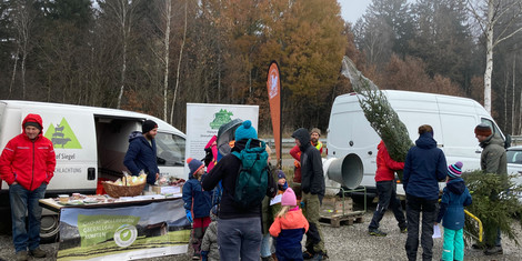 cropped-1671630999-01_baumbratenburger_franziskakaulfuss