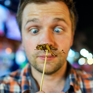 Insekten in Nahrungsmitteln: Was muss beachtet werden?