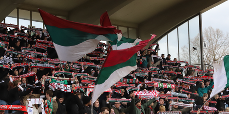 cropped-1681569786-bildschirmfoto-2023-04-15-um-16.42.47