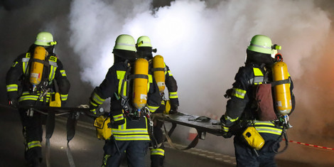 cropped-1698271314-1q5a9357