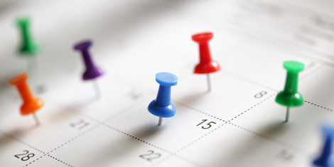 cropped-1699883982-adobestock_79568047