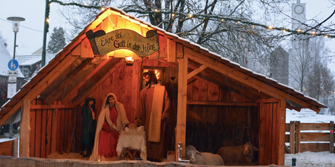 cropped-1700841302-bildschirmfoto-2023-11-24-um-16.54.24