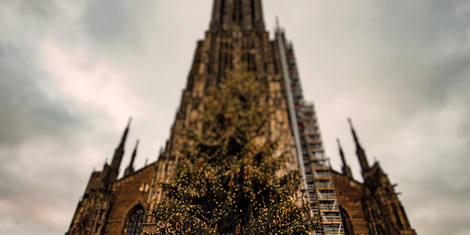 cropped-1700844347-bildschirmfoto-2023-11-24-um-17.45.29