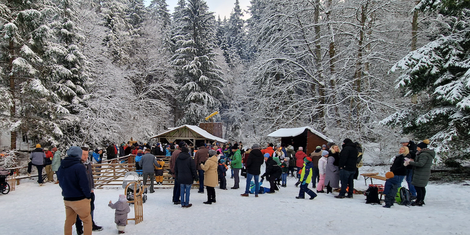 cropped-1700844529-bildschirmfoto-2023-11-24-um-17.48.17