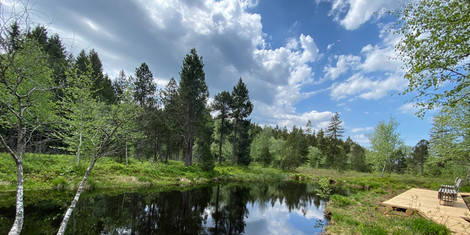 cropped-1708001471-premiumwanderweg-oberreute-wald-und-wiese-c-oberreute-marina-hartmann