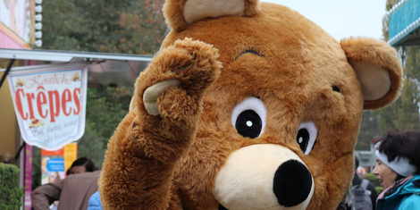 cropped-1726746392-bildschirmfoto-2024-09-19-um-13.45.39