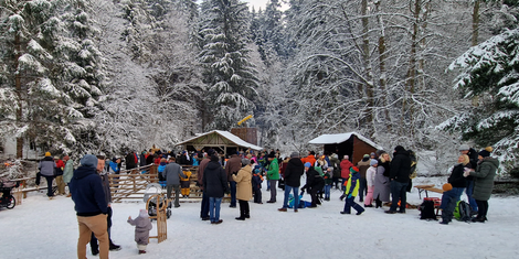 cropped-1732449154-bildschirmfoto-2024-11-24-um-12.51.06